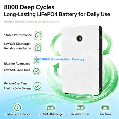 Многоисточник зарядки LiFePO4 Powerwall 51.2 V 200Ah Солнечный панель генератор Сеть зарядки батареи