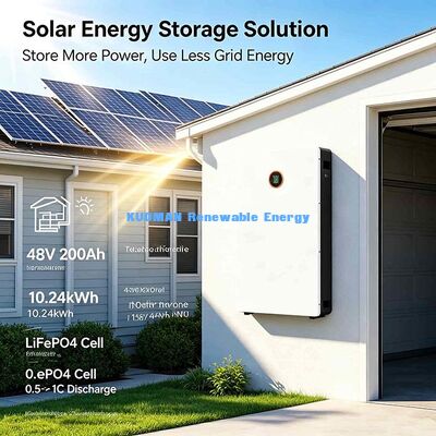 Многоисточник зарядки LiFePO4 Powerwall 51.2 V 200Ah Солнечный панель генератор Сеть зарядки батареи